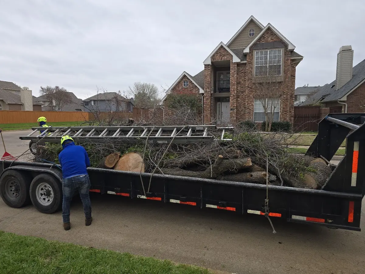 Expert Tree Removal with proper safety equipment in Augusta